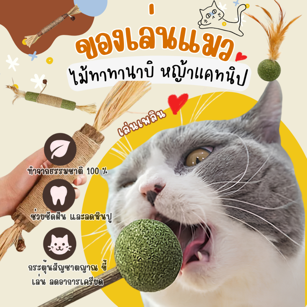 ไม้มาทาทาบิ Matatabi ขัดฟันแมว ขนาด L/S ของเล่นแมว หญ้าแมวแทะเพลิน ขจัดคราบหินปูน บรรเทาความเครียด