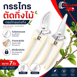 🔥พร้อมส่ง🔥กรรไกร กรรไกรตัดกิ่งไม้ กรรไกรอเนกประสงค์ 7 นิ้ว กรรไกรตัดไม้ สแตนเลส สีครีม ทนทาน ใช้งานสะดวก ราคา/ชิ้น