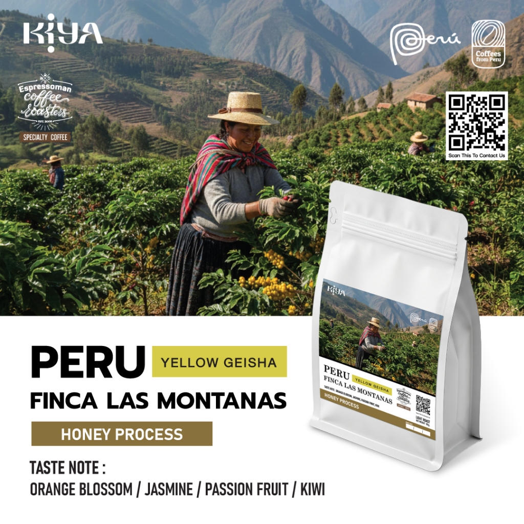 Peru yellow geisha finca las montanas Honey Process เมล็ดกาแฟเกอิชาคั่วอ่อน จากเปรู เหมาะสำหรับทำFilterและEspresso