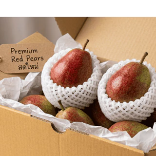 ลูกแพร์แดง (Red Pear) (1KG) เกรดคัดพรีเมียม หวานฉ่ำ หอมละมุน