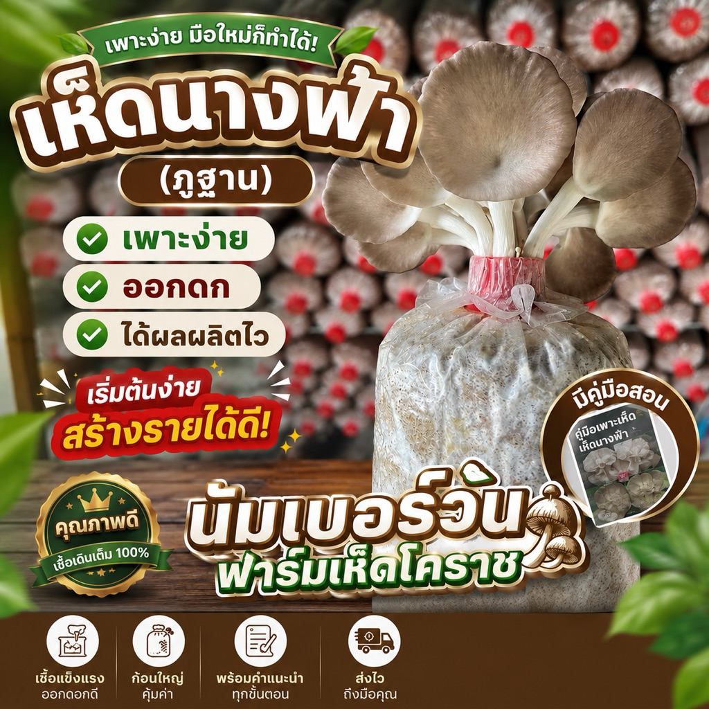 ก้อนเห็ดนางฟ้า (ฏูฐาน) 20 ก้อน พร้อมออกดอก มีคู่มือการเพาะเลี้ยงและดูแล