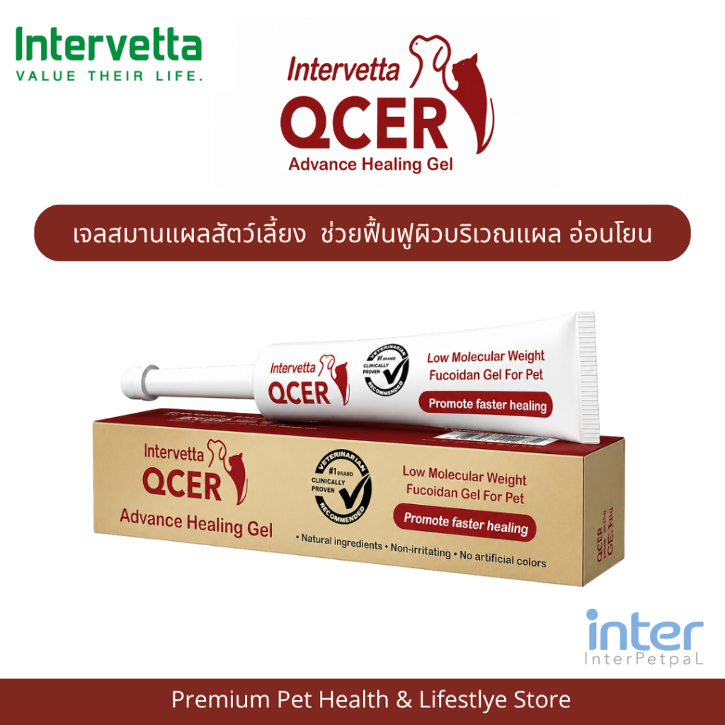 QCER Gel  เจลใส่แผลสำหรับสัตว์เลี้ยง 15 g. [ของแท้]