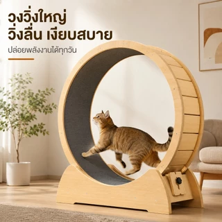 😺 ลู่วิ่งแมว ล้อวิ่งกีฬาไม้เนื้อแข็ง ล้อวิ่งแมว ขนาดใหญ่ ที่ออกกำลังกายสัตว์เลี้ยง ออกกำลังกาย 4.0