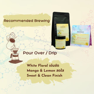 เมล็ดกาแฟคั่วอ่อน Ethiopia Djimma Limu Gummay Baby Gesha Natural - Floral • Mango • Lemon • Grape | BrewNest Roaster Lab
