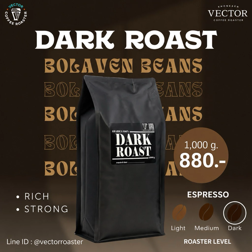 VECTOR : เมล็ดกาแฟคั่วเข้ม 1 กก (Dark roast) อราบิก้า 100% เกรดพรีเมี่ยม