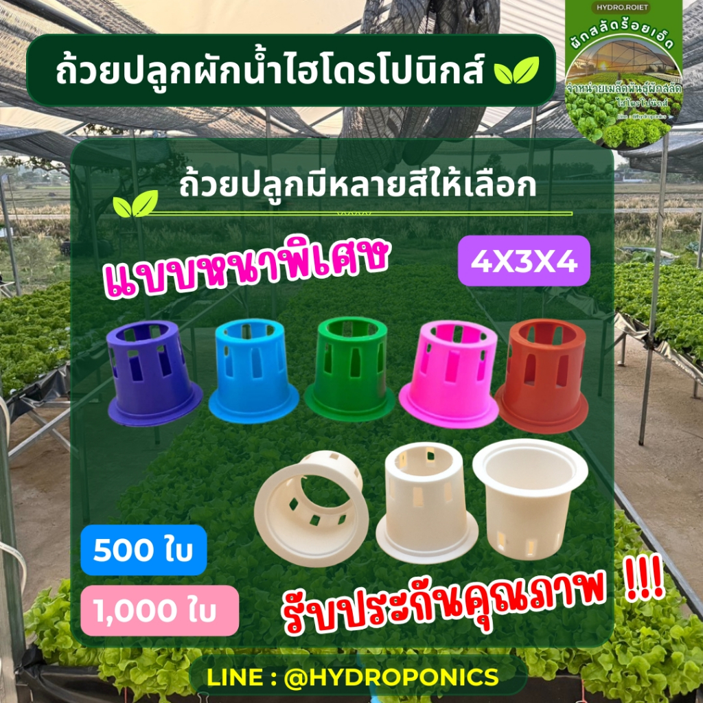 ถ้วยปลูกผัก 500 ใบ I 1,000 ใบ แบบหนาพิเศษ ใช้ได้หลายปี