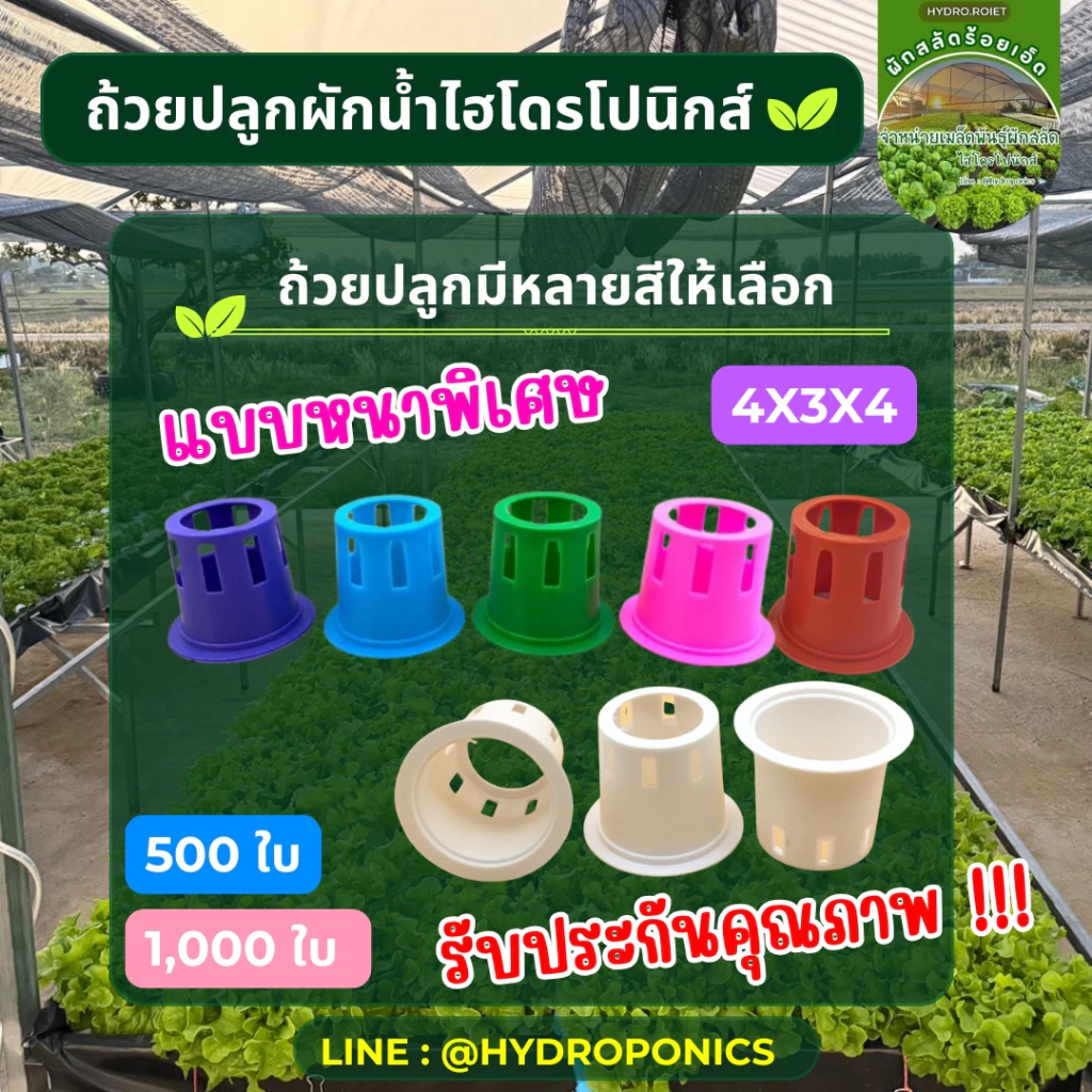 ถ้วยปลูกผัก 500 ใบ I 1,000 ใบ แบบหนาพิเศษ ใช้ได้หลายปี ถูกมาก สุดคุ้ม