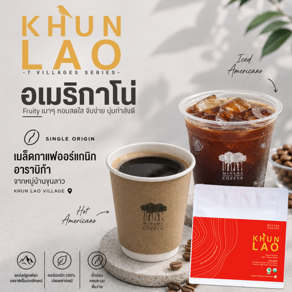 ขุนลาว (คั่วอ่อน-กลาง) . กาแฟมีวนา - เมล็ดกาแฟคั่วออร์แกนิกอาราบิก้าใต้ร่มเงาป่าต้นน้ำ 100g.