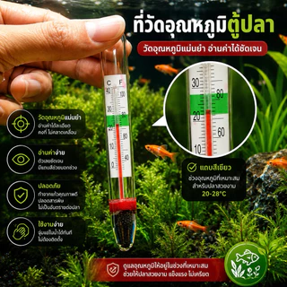 ที่วัดอุณหภูมิ​ตู้ปลา​ อุณหภูมิที่ดี20-28องศา