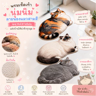 พรมเช็ดเท้าลายแมว แมว3สี พรมเช็ดเท้าลายแมวอ้วน พรมหน้าประตู พรมห้องน้ำ ซับน้ำ กันลื่น พรมดักฝุ่น ลายแมวน่ารัก 3D ขนาด 40