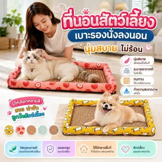 Boqi Factory ที่นอนสัตว์เลี้ยง เสื่อหวายระบายอากาศ เบาะรองนั่งนองนอน สุนัขและแมว Haki