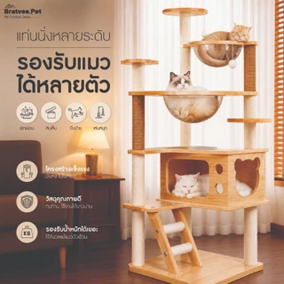 คอนโดแมวไม้ มินิมอล รุ่นN5 สูง131-145cm บ้านแมว เสาลับเล็บ หลุมอวกาศใส 2 หลุม ที่นอน บันได พร้อมของเล่น