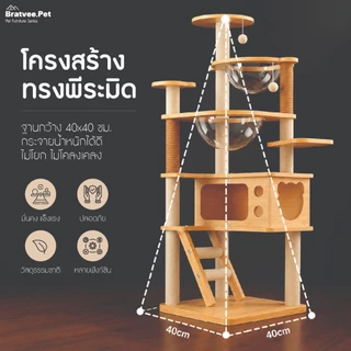 คอนโดแมวไม้ มินิมอล รุ่นN5 สูง131-145cm บ้านแมว เสาลับเล็บ หลุมอวกาศใส 2 หลุม ที่นอน บันได พร้อมของเล่น