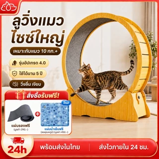 😺ลู่วิ่งแมว ออกกำลังกาย ขนาดใหญ่ ที่ออกกำลังกายสัตว์เลี้ยง Pet treadmill 4.0 Cat toys 🐾