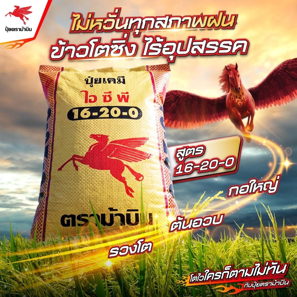 ( ยกกระสอบ 50 กิโล ) ปุ๋ยสูตร 16-20-0 ตราม้าบิน - ช่วยบำรุงต้น ใบ เร่งราก