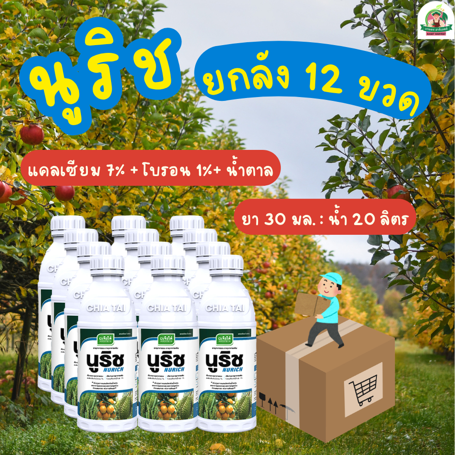ยกลัง นูริช 1 ลิตรx 12 ขวด เจียไต๋ ธาตุอาหารพืช แคลเซียม โบรอน และ น้ำตาลทางด่วน