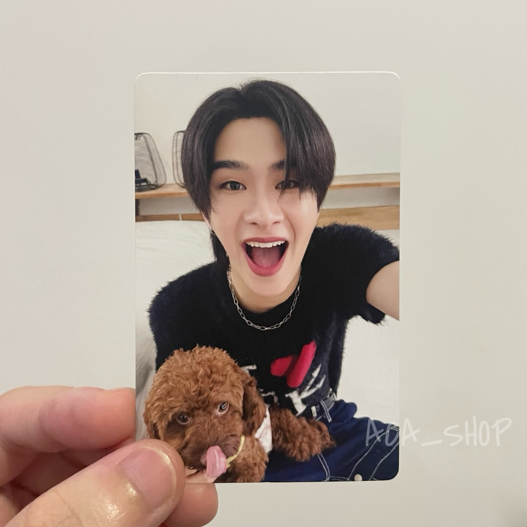 [มี เน็กซ์ ไทย ภู เอเอ] หั่นราคา [สินค้าพร้อมส่ง]การ์ด BUS 1st Anniversary