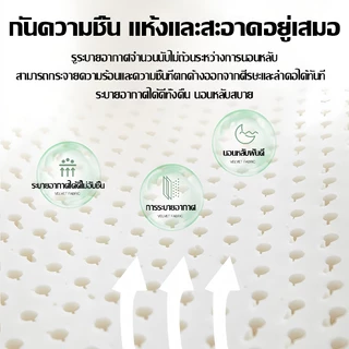 ซื้อ 1 แถม 1 หมอนสุขภาพ อนุภาคนวด สบาย และระบายอากาศ บรรเทากระดูกสันหลังส่วนคอ 55*35cm หมอนยางพาราแท้