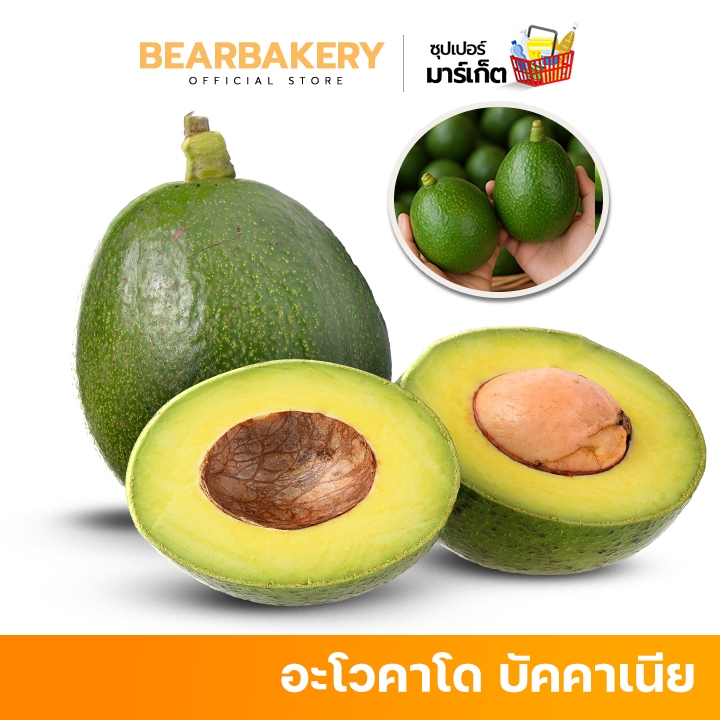ส่งฟรี อะโวคาโด 034 / Booth 7 / บัคคาเนีย เกรดพรีเมี่ยม สายพันธุ์ที่อร่อยที่สุด สดใหม่ ส่งจากสวน