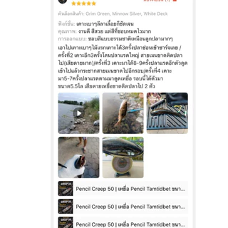 Pencil Creep 50 | เหยื่อ Pencil Tamtidbet ขนาด 5 ซม. หนัก 2.7 กรัม ตกกระสูบ