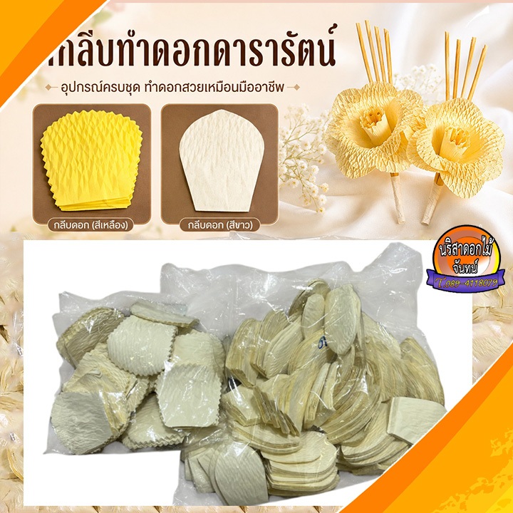 กลีบทำดอกดารารัตน์ ทำดอกไม้จันทน์ทำง่าย พร้อมทำ ทำได้ประมาณ 400 ดอก