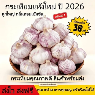 กระเทียมหัว และ กระเทียมกลีบ ลูกใหญ่ กลิ่นหอมเข้มข้น มี 500g/1kg ส่งฟรี มีบริการส่งด่วน ใช้ปรุงอาหารทุกเมนู