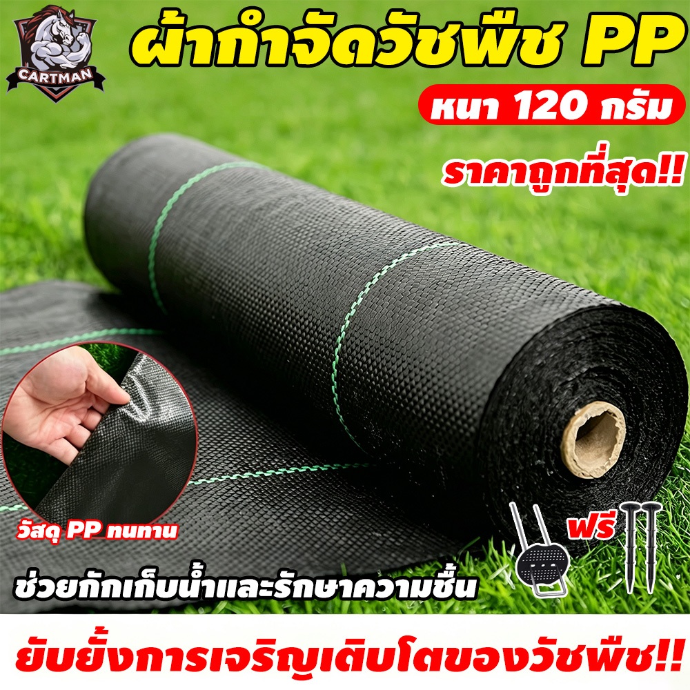 （ราคาโรงงาน）พลาสติกคลุมวัชพืช แถมตะปู พลาสติกคลุมดิน ผ้าคลุมหญ้า พลาสติกเกรดส่งออก ผ้ากันหญ้า