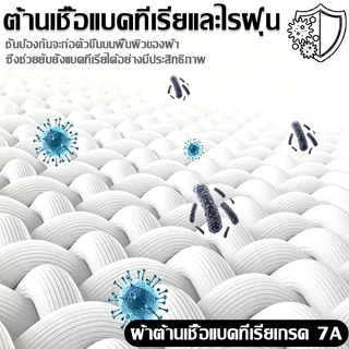 🔥ซื้อ 1 แถม 1✨หมอนยางพารา หมอน หมอนเพื่อสุขภาพแบบ 3D ช่วยบรรเทาอาการปวดคอ ลดการกรน ช่วยให้นอนหลับสบาย และป้องกันไรฝุ่น