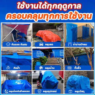 Terrathai ผ้าใบกันฝน กันแดด ขนาด 5x6 4x6 4x5 3x5 3x4 เมตร มีตาไก่ พลาสติก แบบเอนกประสงค์ คลุมรถได้ บลูชีท