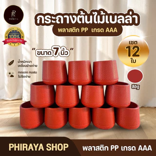 กระถางต้นไม้ เบลล่า มินิมอล 5 7 9 นิ้ว ขายส่งยกโหล พลาสติก PP เกรด AAA