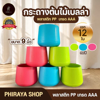 กระถางต้นไม้ เบลล่า มินิมอล 5 7 9 นิ้ว ขายส่งยกโหล พลาสติก PP เกรด AAA