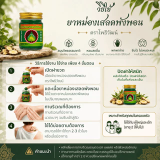 โพธิวัฒน์ ยาหม่องเสลดพังพอน ขนาด 50 g. ยาหม่องสมุนไพร ขี้ผึ้งเสลดพังพอน กลิ่นหอมเย็น สดชื่น ใช้ดม ทาภายนอก