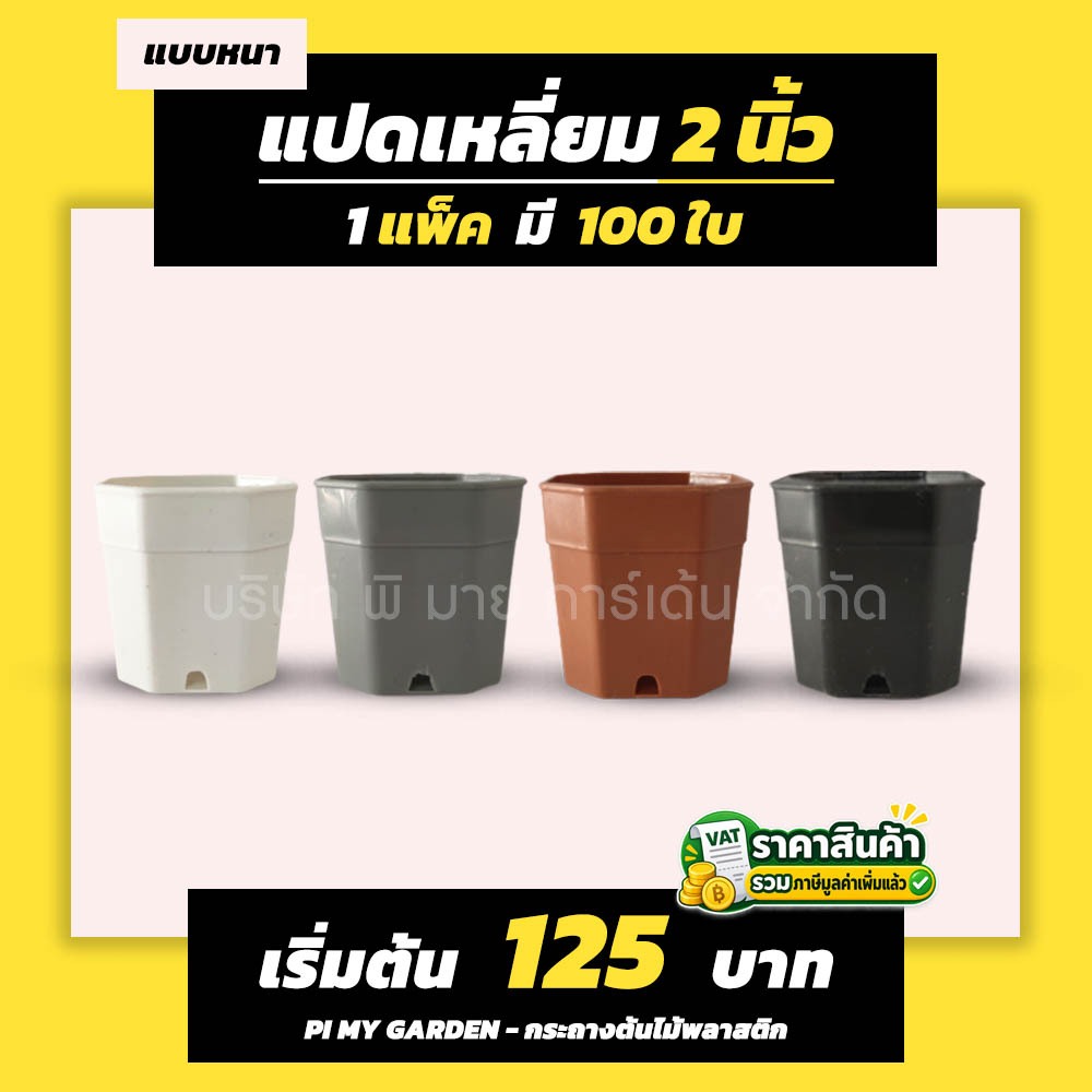 กระถางแคคตัส ทรงแปดเหลี่ยม 2 นิ้ว สีขาว สีดำ สีเทา สีอิฐ แพ็ค 100 ใบ