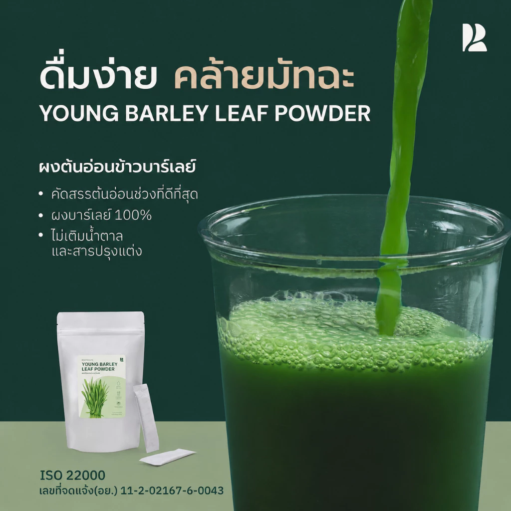 Rootroute | ผงต้นอ่อนข้าวบาร์เลย์ Barley Leaf Powder ผงต้นอ่อน 100% ผงละเอียด ไม่สากคอ [ผ่านอย.และมาตรฐาน ISO22000]