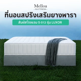 ที่นอนสปริงเสริมยางพารา ที่นอนพ็อกเก็ตสปริง หนา 8 นิ้ว รองรับกระดูกสันหลัง บรรเทาปวดหลัง สัมผัสโรงแรม 5 ดาว