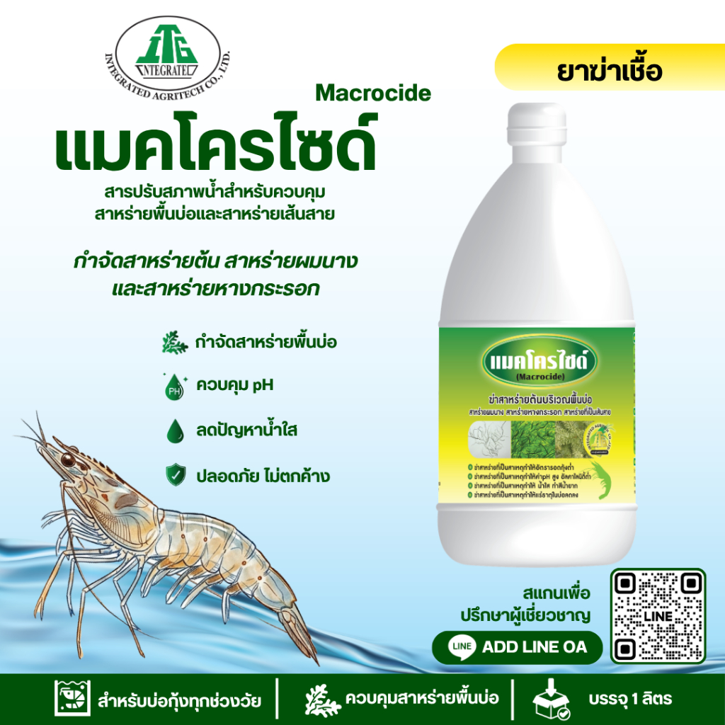 แมคโครไซด์ ( Macrocide ) ขนาด 1 ลิตร กำจัดสาหร่ายต้น บนพื้นบ่อ (หางกระรอก สาหร่ายผมนาง สาหร่ายที่เป็นเส้นสาย)