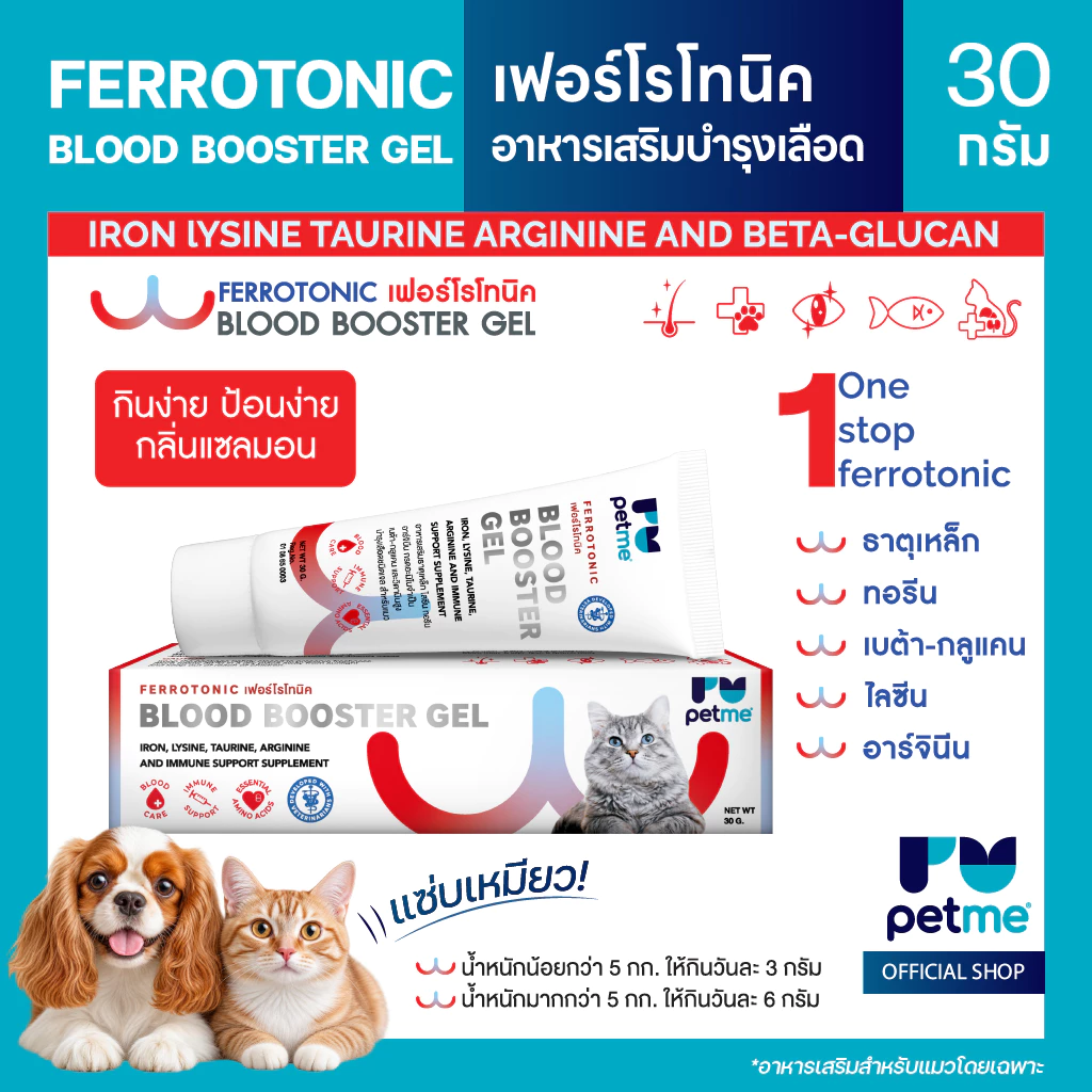 FERROTONIC เฟอร์โรโทนิค อาหารเสริมบำรุงเลือด