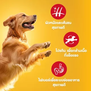 [สุดคุ้ม 120 ซอง] PEDIGREE เพดดิกรี อาหารหมาเปียกแบบซอง สุนัขโตและลูกสุนัข สูตรเกรวี่/เนื้อสัตว์บด เลือกรสชาติได้ 130ก.