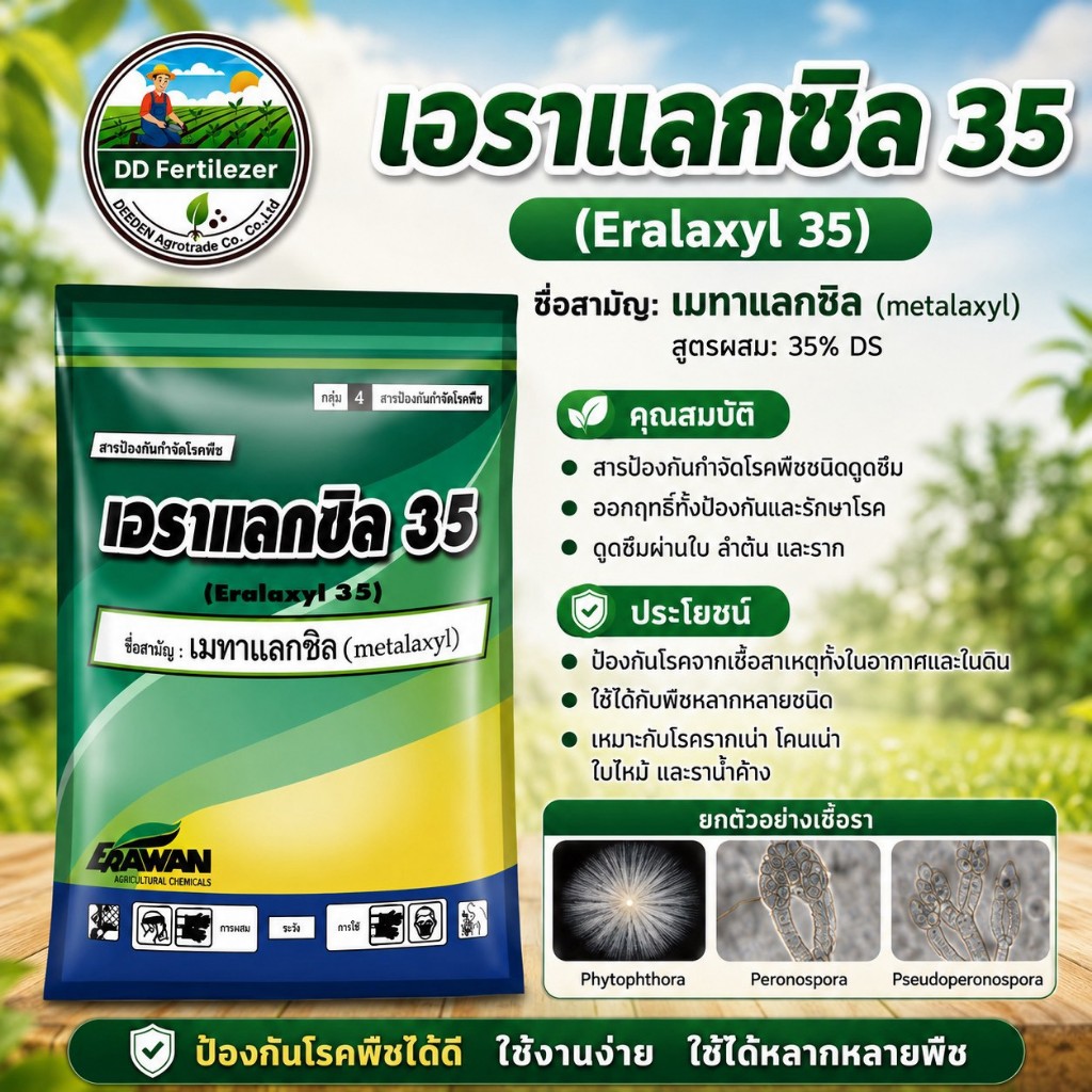 เอราแลกซิล 35 ขนาด 1 กิโลกรัม #เมทาแลกซิล กำจัด รากเน่าโคนเน่า ใบไหม้ ต้นเน่า ใช้คลุกเมล็ด #ร้านปุ๋ยดีเด่น