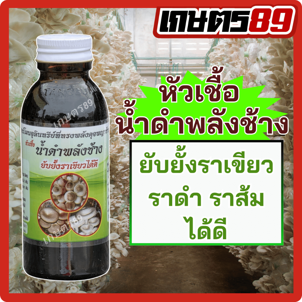 หัวเชื้อน้ำดำพลังช้าง ฮอร์โมนจุลินทรีย์ยับยั้งราเขียว ราดำ ราส้ม ใช้ได้กับเห็ดทุกชนิด เห็ดหูหนู เห็ดนางฟ้า เห็ดฟาง