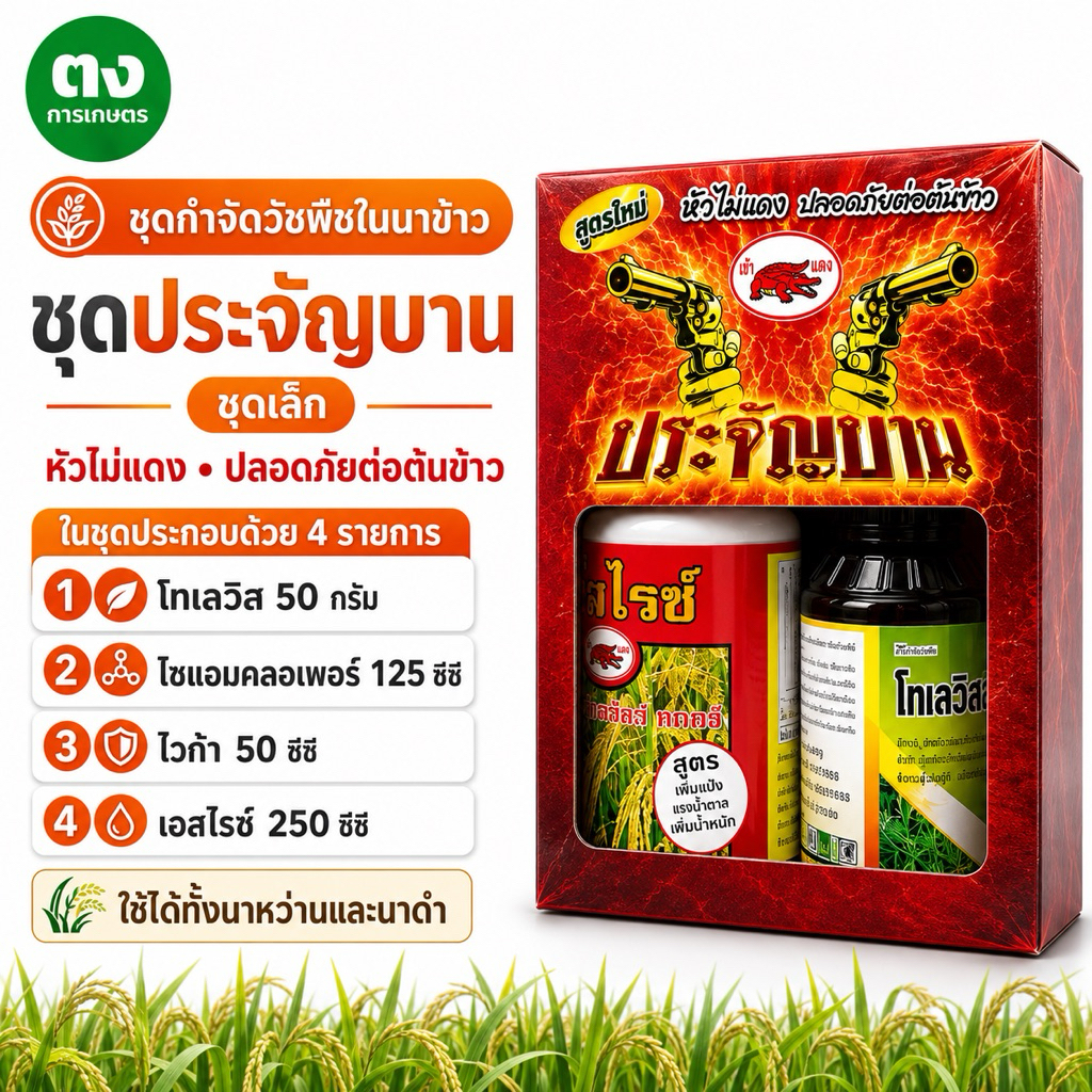 ชุดประจัญบาน ตราเข้แดง ยาฆ่าหญ้าในนาข้าว กำจัดวัชพืชใบแคบ–ใบกว้าง ข้าวไม่แดง ปลอดภัยต่อต้นข้าว