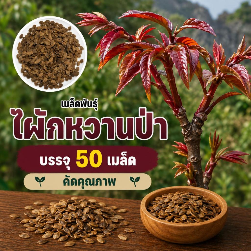ผักตูน/ผักหวานป่าเกาหลี พันธ์ุแท้100% ซองละประมาณ50เมล็ด