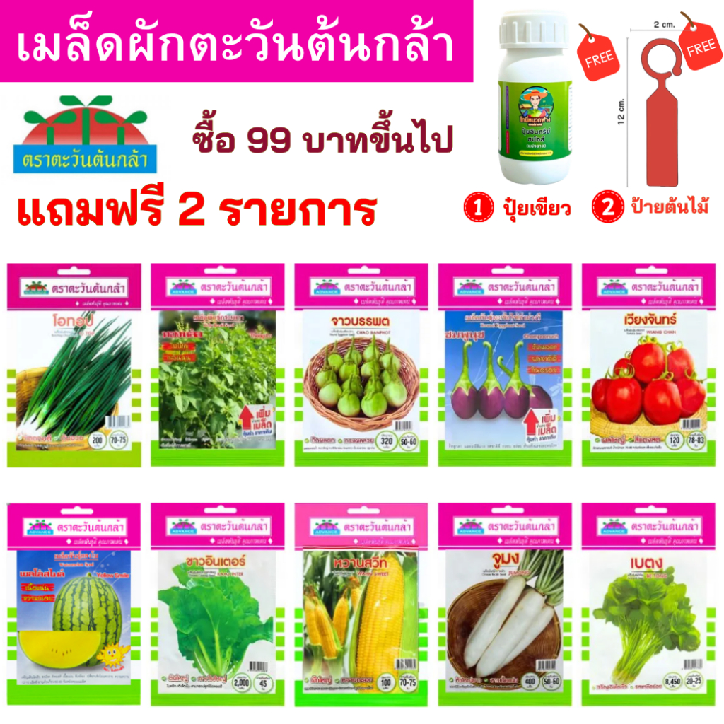 เมล็ดผัก ตะวันต้นกล้า OP ของแท้ ซื้อ 99 บาทขึ้นไป แถมฟรี 2 รายการ ออกใบกํากับภาษีได้