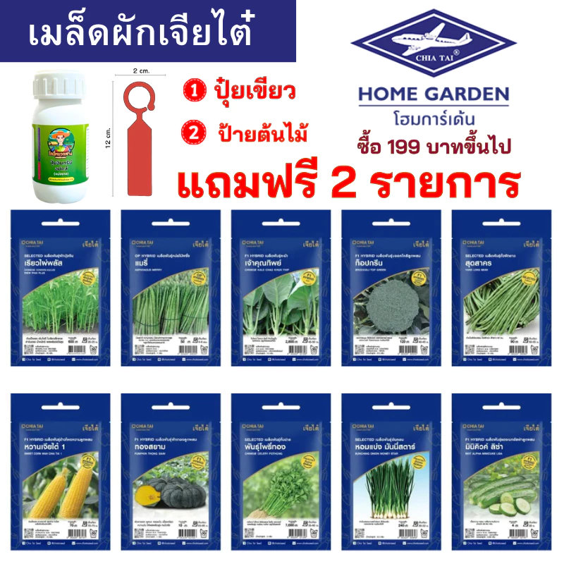 เมล็ดผักเจียไต๋ ซองอีซี่ ซื้อ 199 บาทขึ้นไป แถมฟรี 2 รายการ ออกใบกํากับภาษีได้