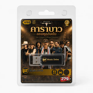 USB เพลงเพื่อชีวิต 347 เพลง แฟลชไดร์ฟ์ MP3 4GB ฟังในรถ คอม ลำโพง ไม่ต้องเน็ต ของขวัญผู้ใหญ่