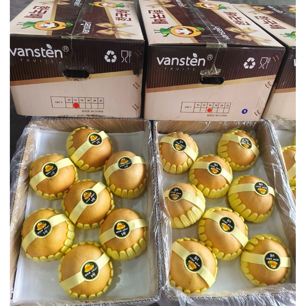 (1ลูก,3ลูก) สาลี่หิมะสด หวานฉ่ำอร่อยมากๆ