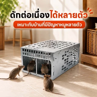 [ส่งจากไทย] 🐀กรงดักหนู กับดักหนู ที่ดักหนู ตรงปกไม่จกตา จัดส่งไวสุดๆวิ้งๆ✨