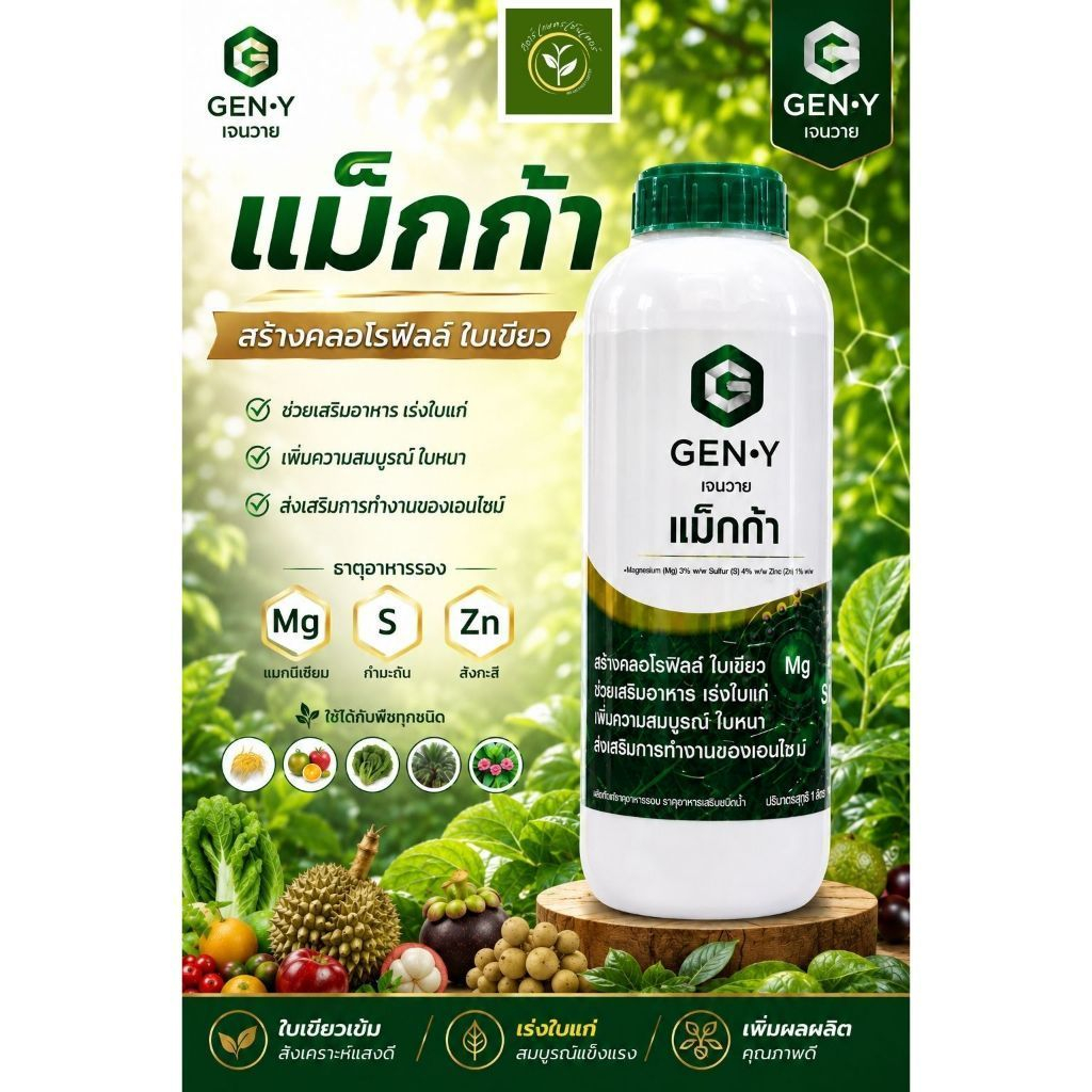เเม็กก้า ( ตราเจนวาย ) 1 ลิตร / ช่วยเพิ่มคลอโรฟิลล์ เร่งใบแก่ไว ใบเขียวเข้มหนา และลดปัญหาการแตกใบอ่อนในช่วงติดผล