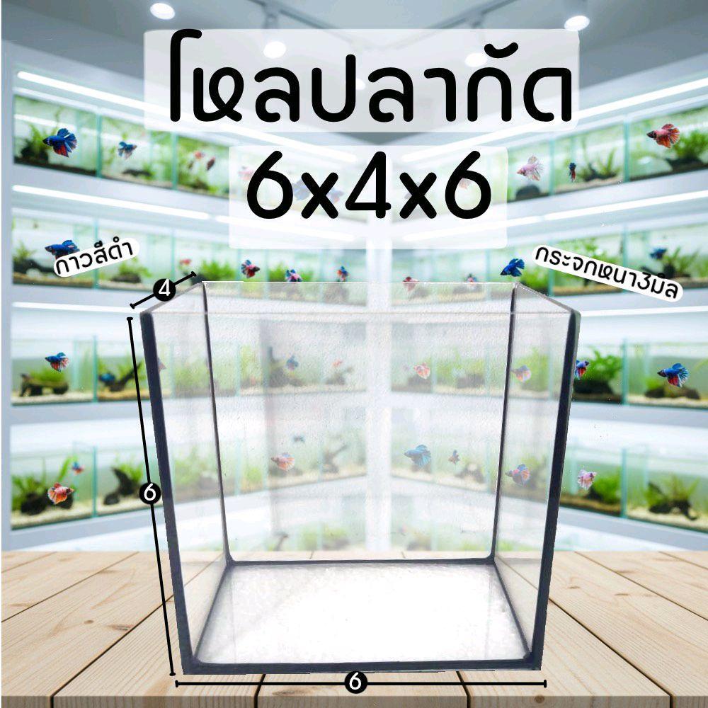 โหลปลากัด 6x4x6 นิ้ว  1 ใบ กระจกหนา 3 มิล มีประกัน
