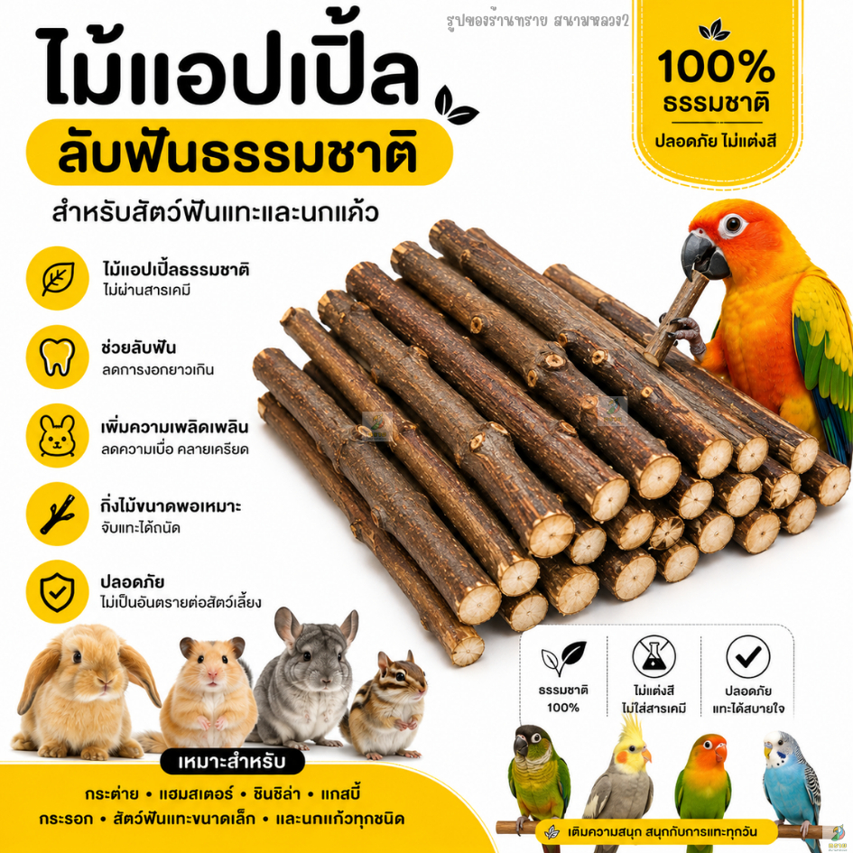 ไม้แอปเปิ้ลลับฟัน ไม้แทะธรรมชาติ สำหรับกระต่าย แฮมสเตอร์ ชินชิล่า กระรอก สัตว์ฟันแทะ (50-100 G.)